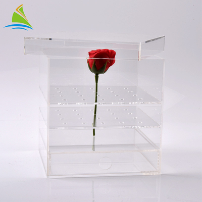 Plexiglass Wyczyść akrylowym pudełku akrylowym Niestandardowe opakowanie w pudełku na 25 róż